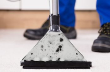 How long does it take for carpets to dry after cleaning?