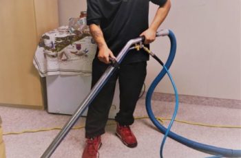 Professionals Carpet Cleaning or DIY Carpet Cleaning
