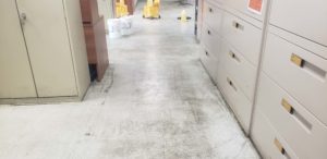 Tile flooring after being cleaned by Canadian Carpet Cleaning