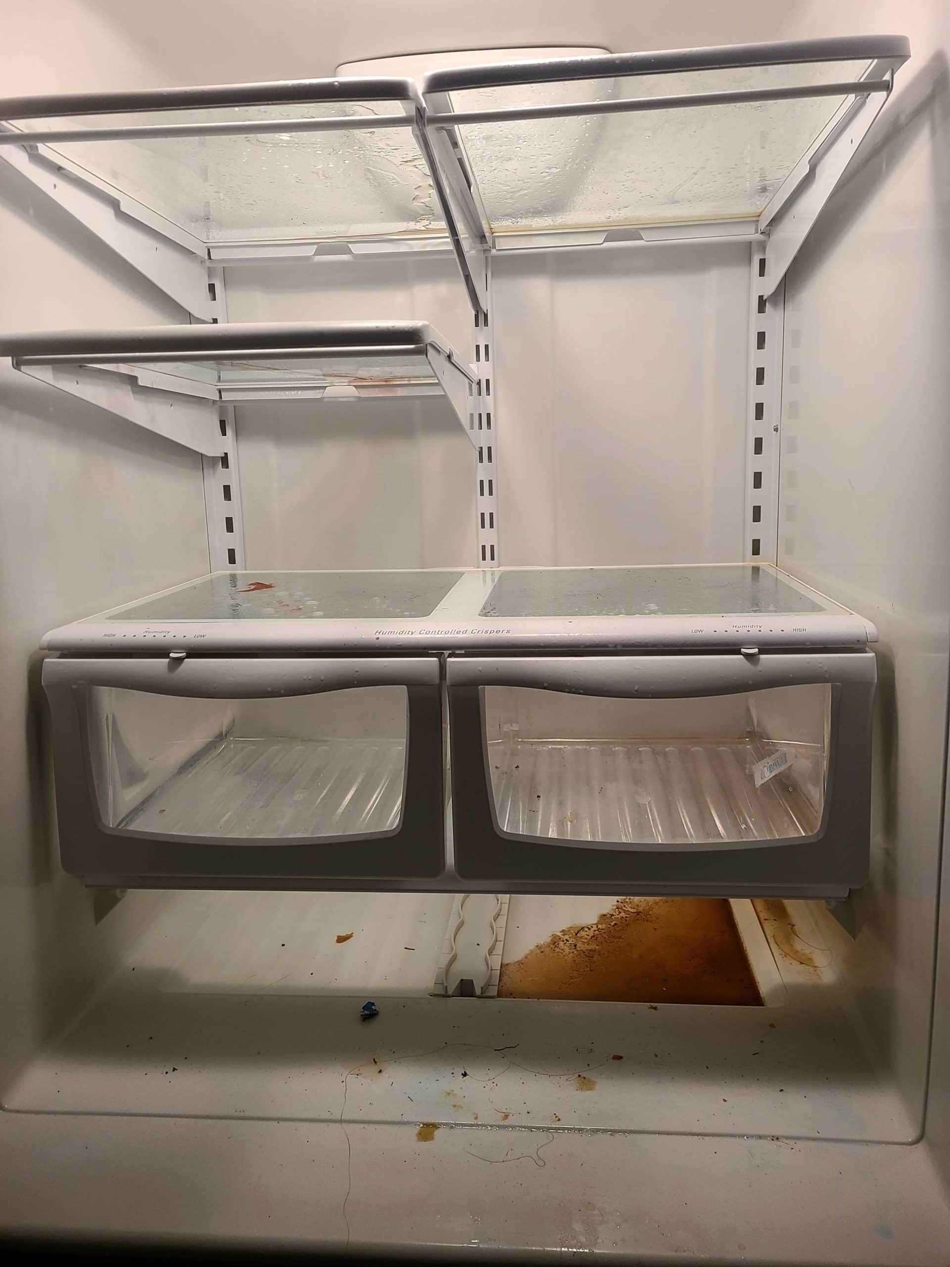 Canadian Carpet Cleaning Fridge Cleaning Before being cleaned 