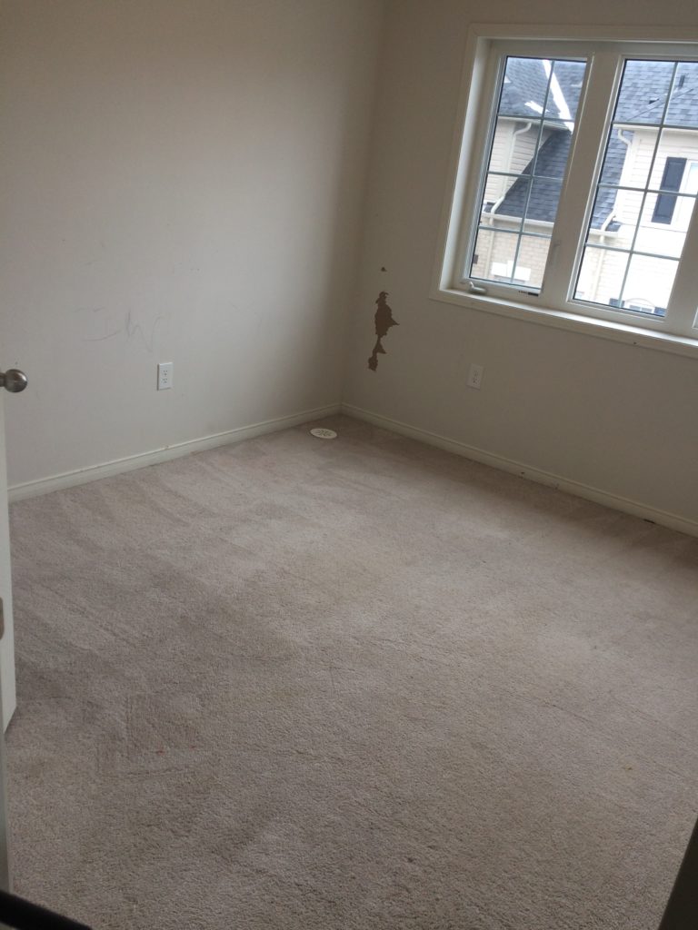 Professional steam cleaning for residential homes by Canadian Carpet Cleaning
