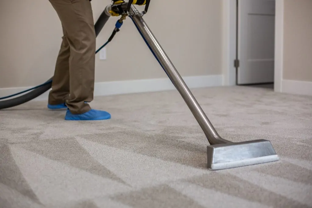 Carpet being cleaned by cleaning services after a house event.