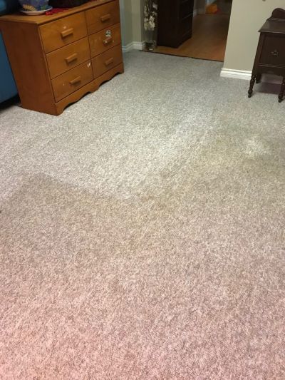 Canadian Carpet Cleaning commercial office carpet cleaning 