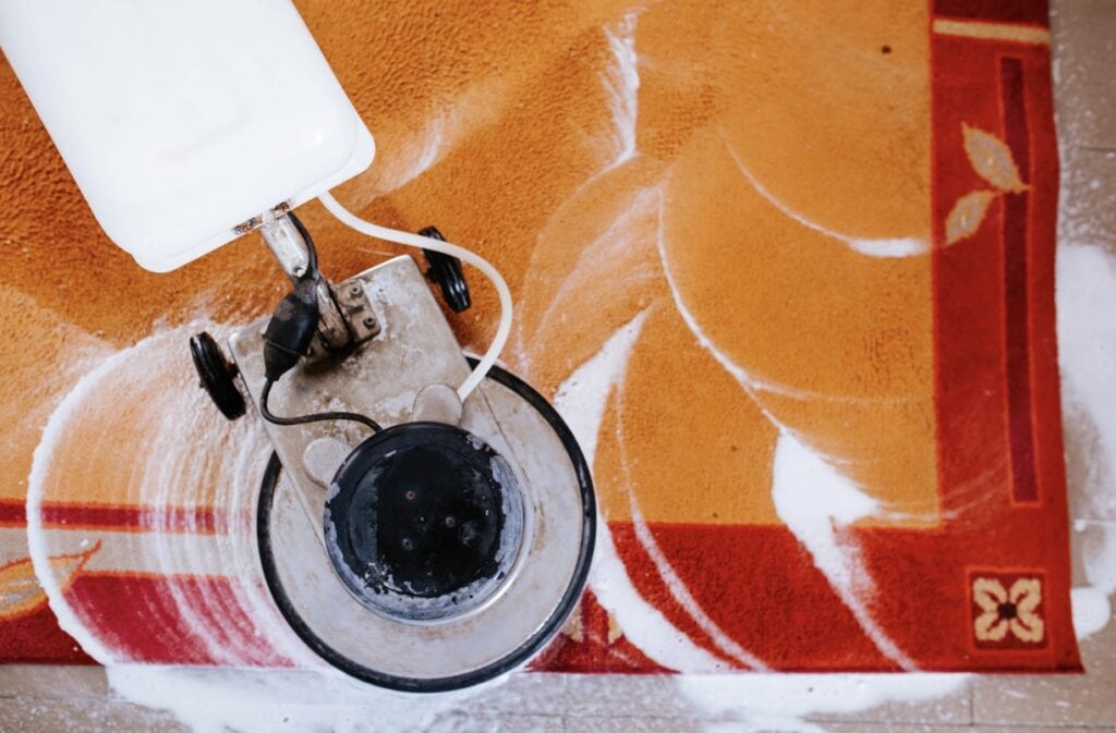 Local carpet cleaning service cleaning a carpet using professional equipment.