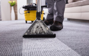 Carpet cleaning in Kedron, Oshawa