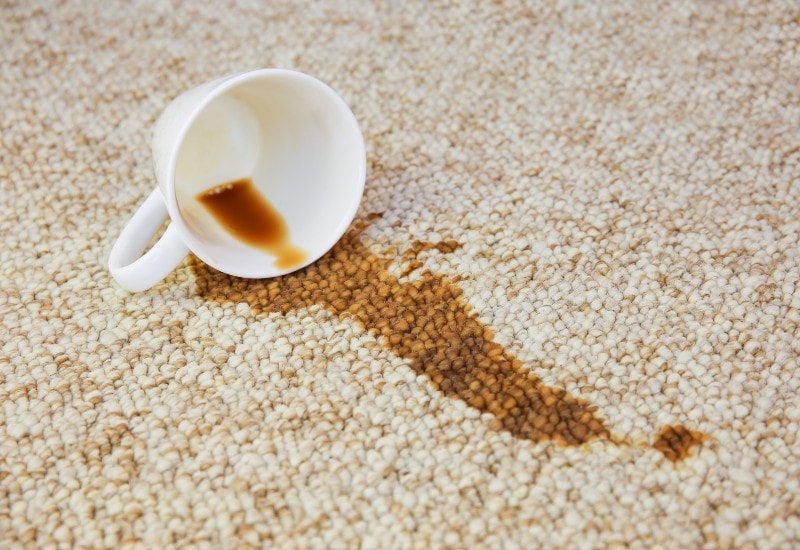 Professional Scotchgard Application & Fabric Protection Services